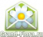 Логотип компании Доставка цветов Гранд Флора (ф-л г. Шадринск)